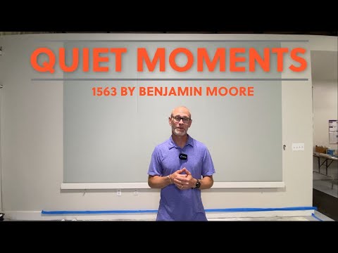 Quiet Moments 1563 by Benjamin Moore | Is This Silver or Gray?