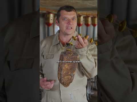 Spielzeuge für Schweine