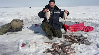 Эхолоты fish finder для зимней рыбалки