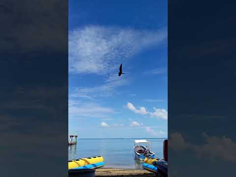 Trujillo colón 🏝️🏝️🏝️🏝️