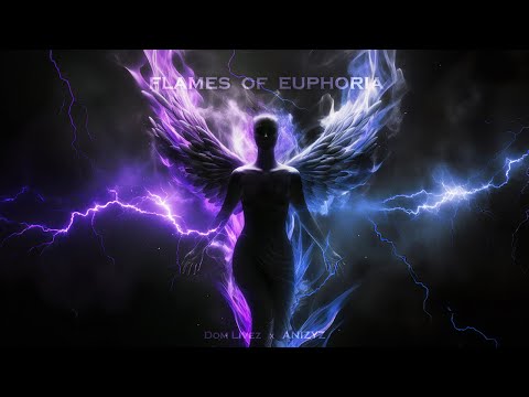 Dom Livez x ANIZYZ - Flames Of Euphoria (Official Music Video)
