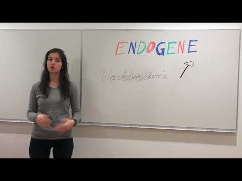 Endogene Wachstumstheorie