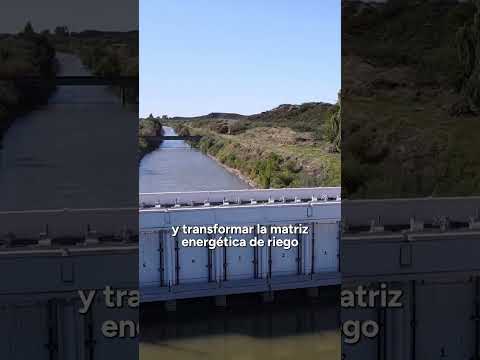 EL RIEGO COMO MOTOR DEL DESARROLLO PRODUCTIVO RIONEGRINO