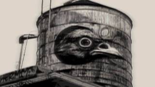 ROA on the Water Tower: Brooklyn Street Art, BSA