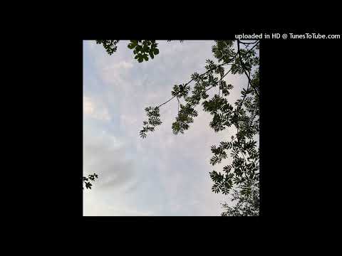 „Blüte“ (FREE) [SHINDY] Type Beat