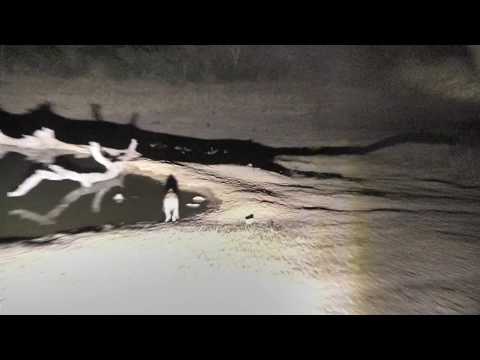 Djuma: Lone Hyena in for quick drink - 01:48 - 10/02/18