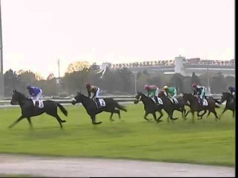 Premio St. Leger 2014 (GR 3)