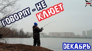 Ловля окуня в декабре на отводной поводок