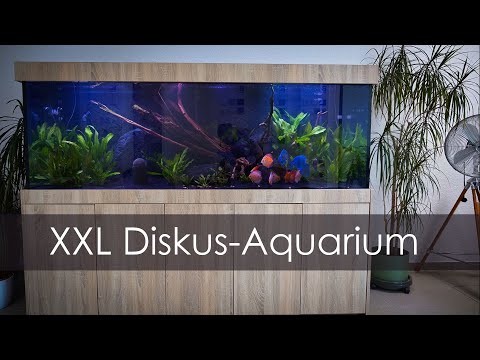 1000 Liter Aquarium einrichten - 2 Meter Diskus-Aquarium aufstellen mit Musik  | Aquado-Zoo Dortmund