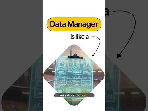 Data Manager 2025 explained by Product Manager