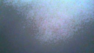 Brandi Bynog Couple Bars