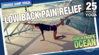 Low Back Relief in 25 Minutes - a Yoga Class with Erin Sampson - Five Parks Yoga
