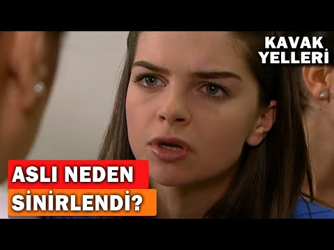 Aslı Neden Sinirlendi? - Kavak Yelleri 75.Bölüm