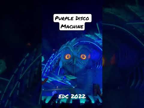 Purple Disco Machine EDC 2022