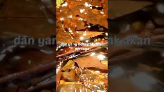 Download lagu [Quotes Tokoh Islam] Tak Perlu Ceritakan Dirimu by Ali Bin Abi Thalib mp3