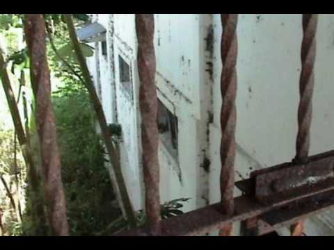 The Sufferras  - La Vida En El Penal (Automatic Riddim) Videos Luis