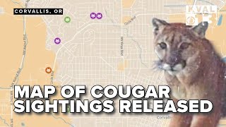 More cougar sightings in Corvallis