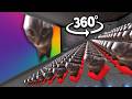 360 CHIPI CHIPI CHAPA CHAPA CAT Cinema Hall 4K VR 360 Video