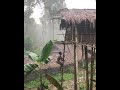 Korowai Tree House Tent Camp