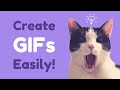 #1 Easiest way to create a GIF!
