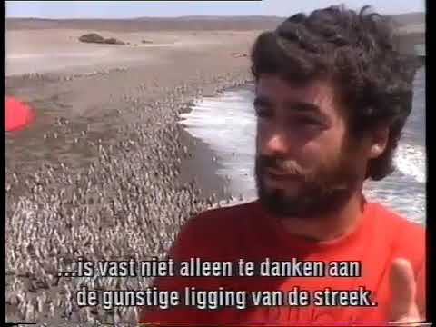 28 1991 De wereld van Boudewijn Büch   Argentinië 3