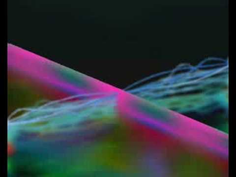 Analog Pussy - Deathroll