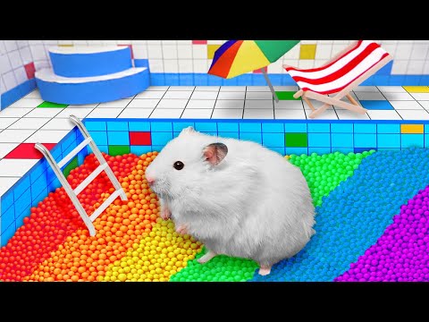🌈Pool maze for cute Hamster 🐹[OBSTACLE COURSE]