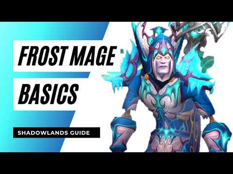 Frost Mage Basics Guide