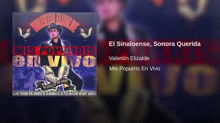 Valentín Elizalde - El Sinaloense, Sonora Querida (Audio)