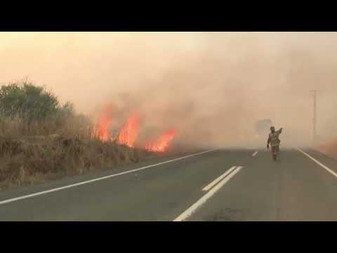 Gjendje e jashtëzakonshme në Kili, 46 të vdekur si pasojë e zjarreve