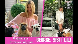 Małgorzata Rozenek: Psy są dla nas tak samo ważne, jak dzieci