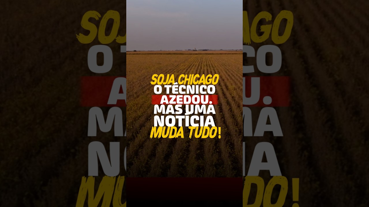 SOJA CHICAGO: O TÉCNICO AZEDOU. MAS UMA NOTÍCIA MUDA TUDO!