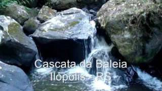 preview picture of video 'Cascata da Baleia - Ilópolis RS'