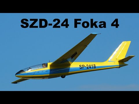 SZD-24 Foka 4 | Oldtimer weekend 2021 | 4K