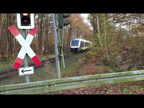 Durchfahrt der NordWestBahn in Quakenbrück in Richtung Wilhelmshaven