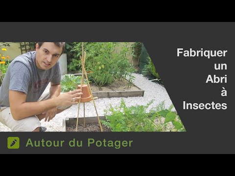 comment construire cabane pour insecte