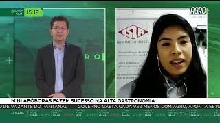 Miniatura do vídeo