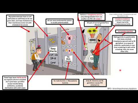 Hpv impfung in schwangerschaft