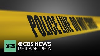 Skeletal remains found in Middle Township, New Jersey