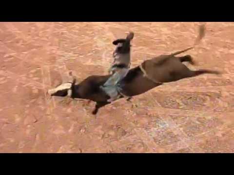 Brian Herman vs Paleface - 05 PBR Finals (91 pts)