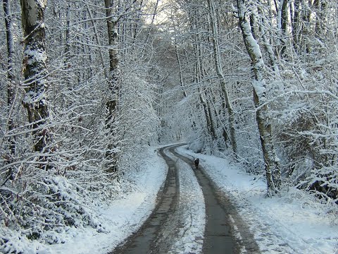 4K HDR Snowy Village - Peaceful Snowing at Dusk - Winter in Bulgaria - Relaxing Snowfall Video