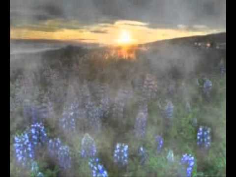 Overland - Daydreamer [DJ Tom X remix]