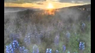 Overland - Daydreamer [DJ Tom X remix]