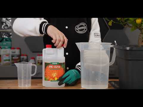 How to use: CANNA PK13 14 EN