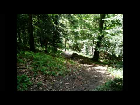 Krynica Zdrój i Tylicz