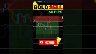 Gold Sell for 60+ pips out of Supply during Private Zoom Session 💰