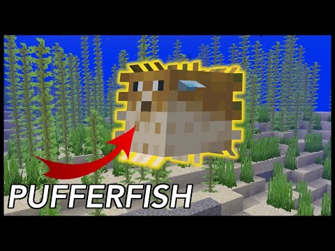 RajCraft - How To Use Pufferfish In Minecraft
