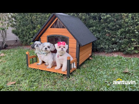 Aivituvin-AIR80 Outdoor Dog House with Porch| Strong Iron Frame