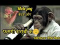 MOTE PEG Official Video Sumit Parta Isha Sharma New Haryanvi Song 2023 Edit By Ankit Bhola