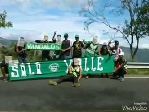 "Valledupar FC" Barra: Pasión Vallenata Norte &bull; Club: Valledupar